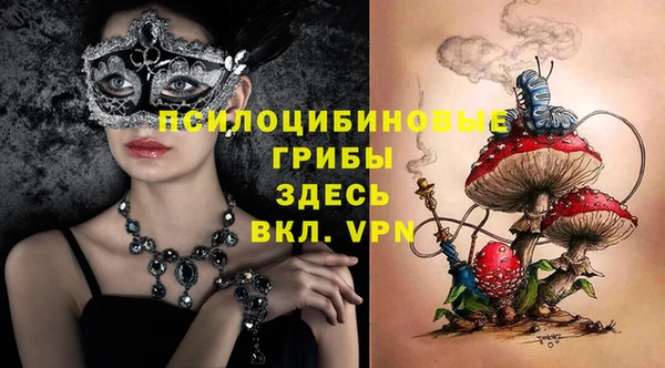 стаф Алексин