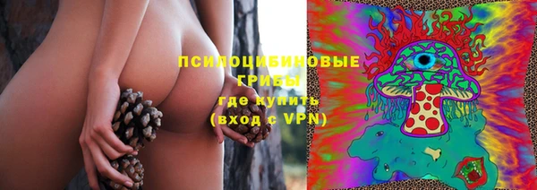 стаф Алексин