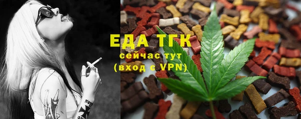 гашик Снежногорск