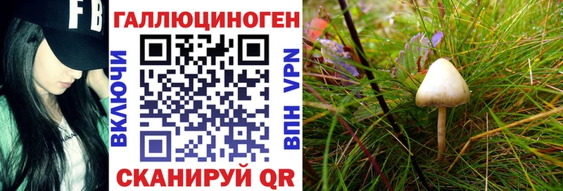 сайты даркнета состав  mega зеркало  Берёзовский  Галлюциногенные грибы прущие грибы 